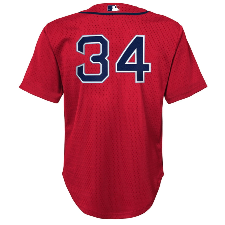 Preschool Boston Red Sox David Ortiz Mitchell & Ness Red Cooperstown Collection Mesh Batting Practice Jersey