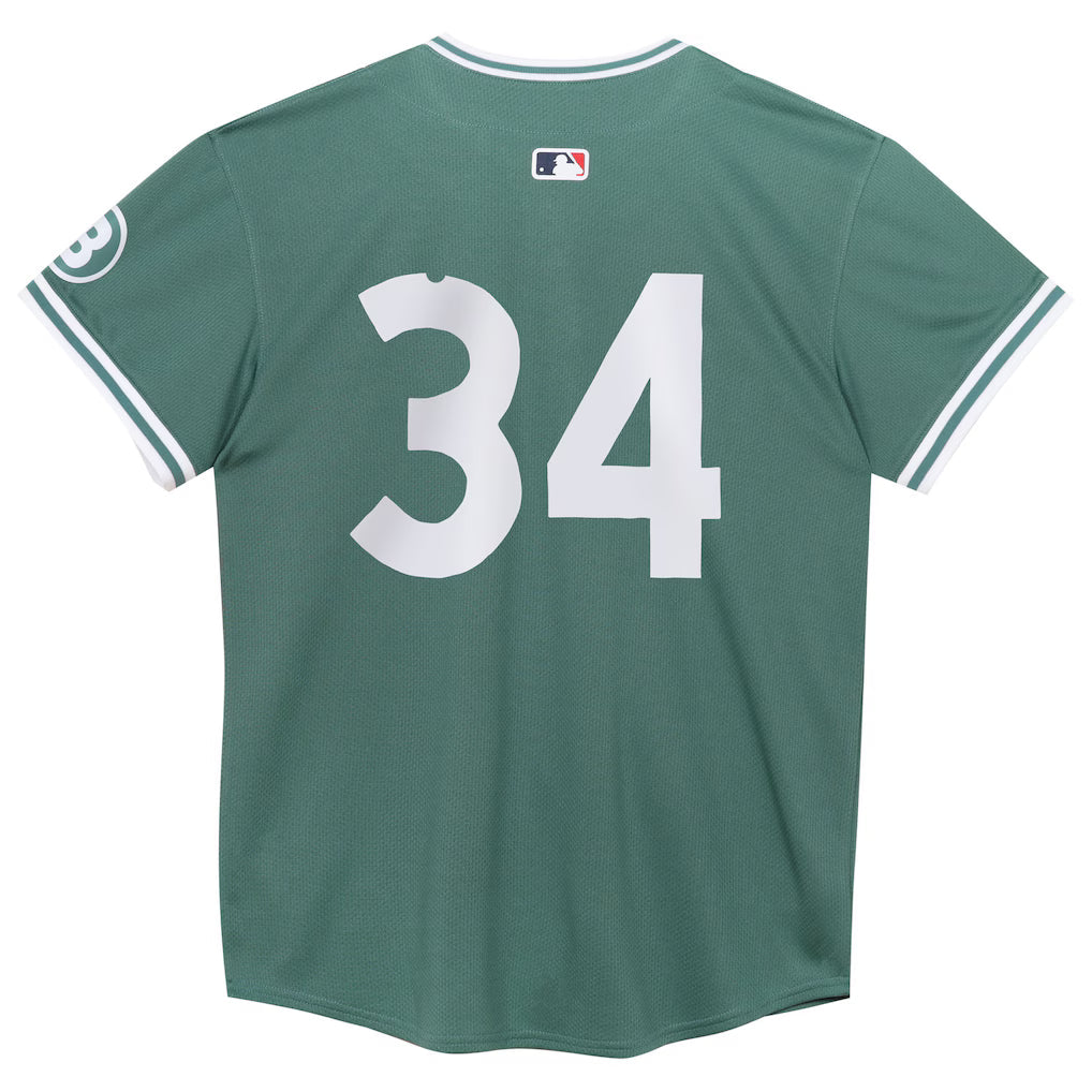 Preschool Boston Red Sox David Ortiz Nike Green 2025 City Connect Limited Retired Player Jersey