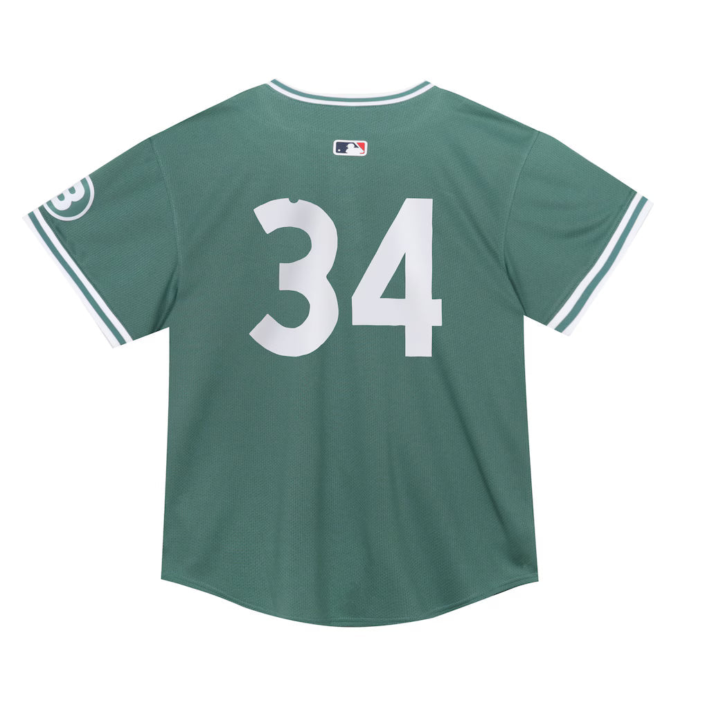 Toddler Boston Red Sox David Ortiz Nike Green 2025 City Connect Limited Retired Player Jersey