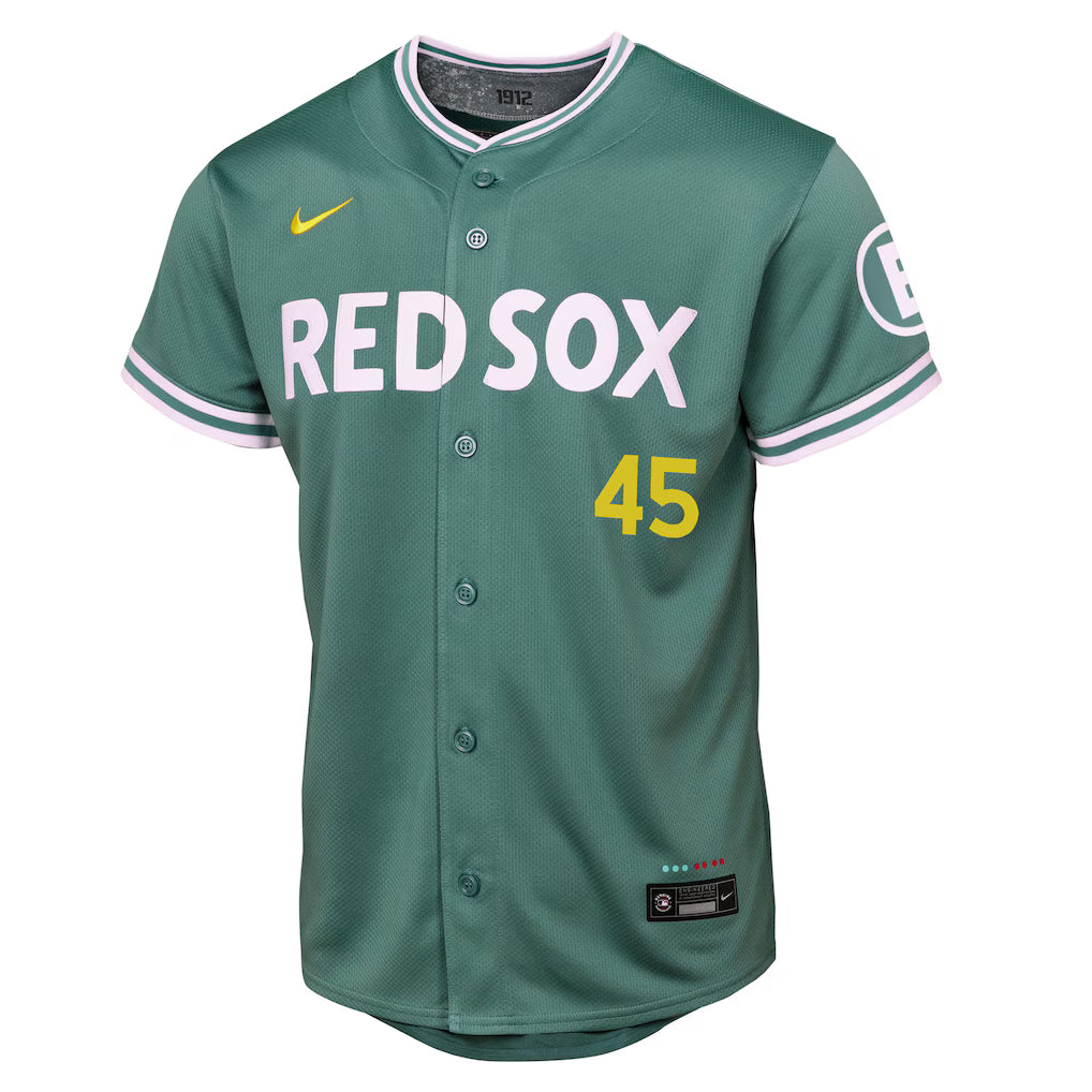 Youth Boston Red Sox Pedro Martinez Nike Green 2025 City Connect Limited Retired Player Jersey