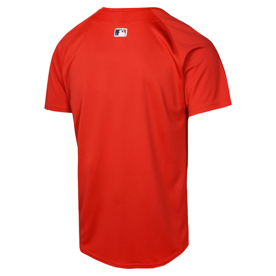 Youth Boston Red Sox Nike Red Alternate Limited Jersey